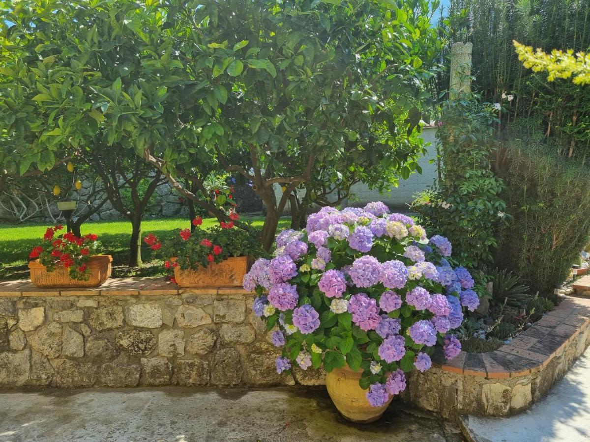 Il Ruscello Panzió Maratea Kültér fotó
