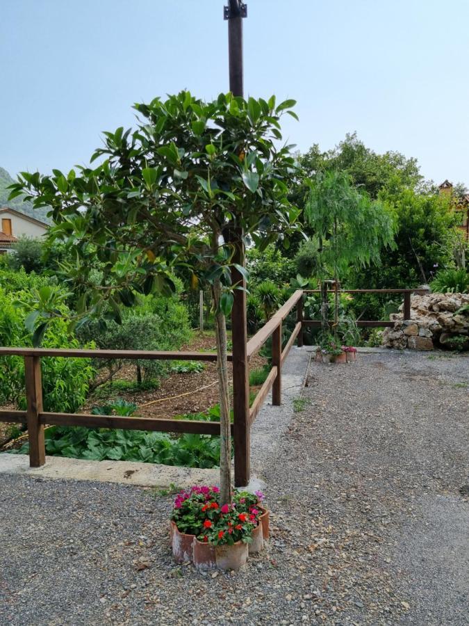 Il Ruscello Panzió Maratea Kültér fotó