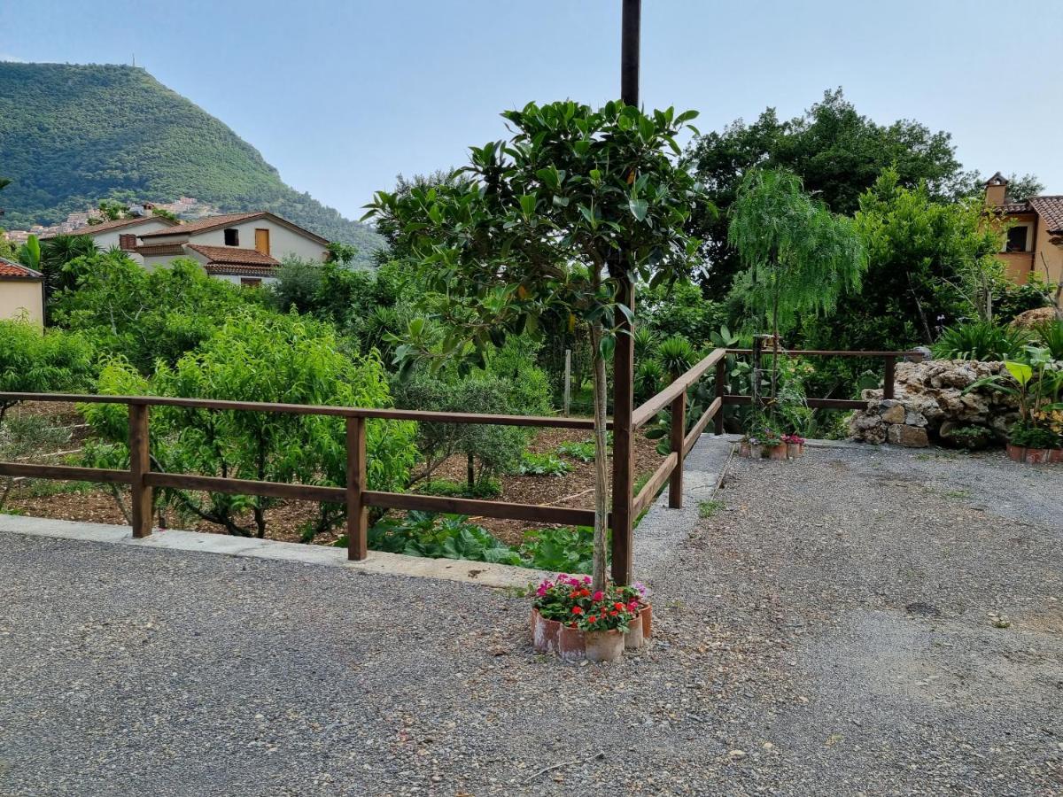 Il Ruscello Panzió Maratea Kültér fotó