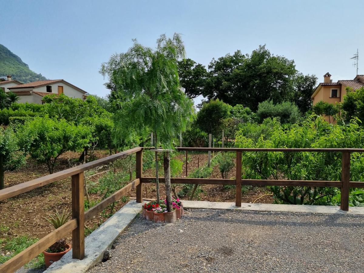 Il Ruscello Panzió Maratea Kültér fotó