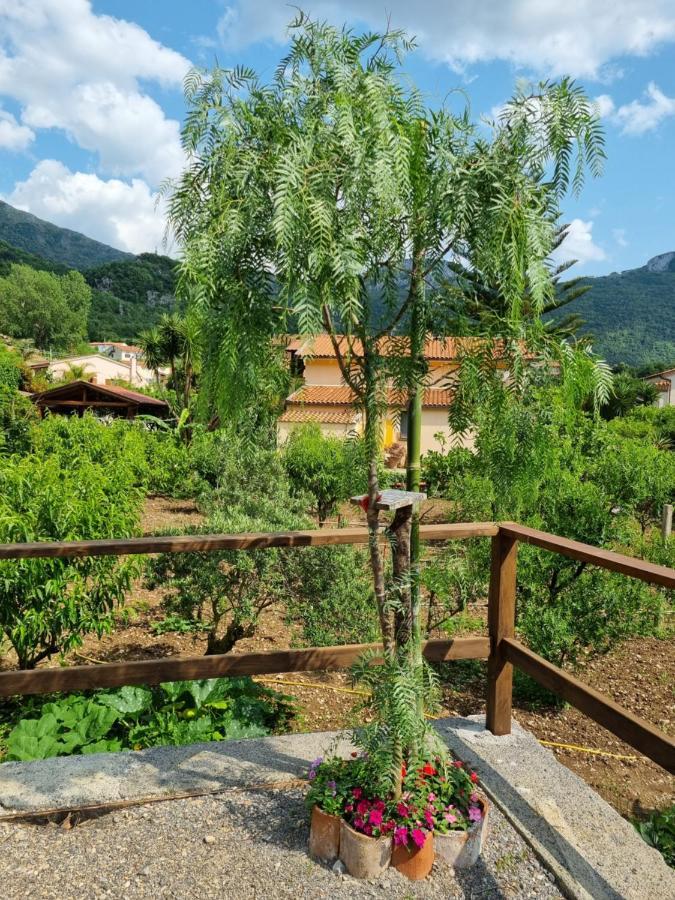 Il Ruscello Panzió Maratea Kültér fotó